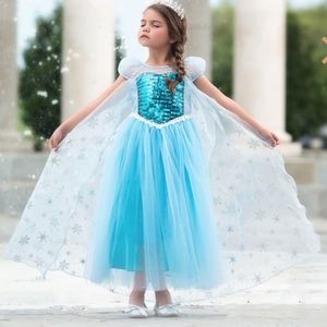 Trish scully elsa frozen dress costume